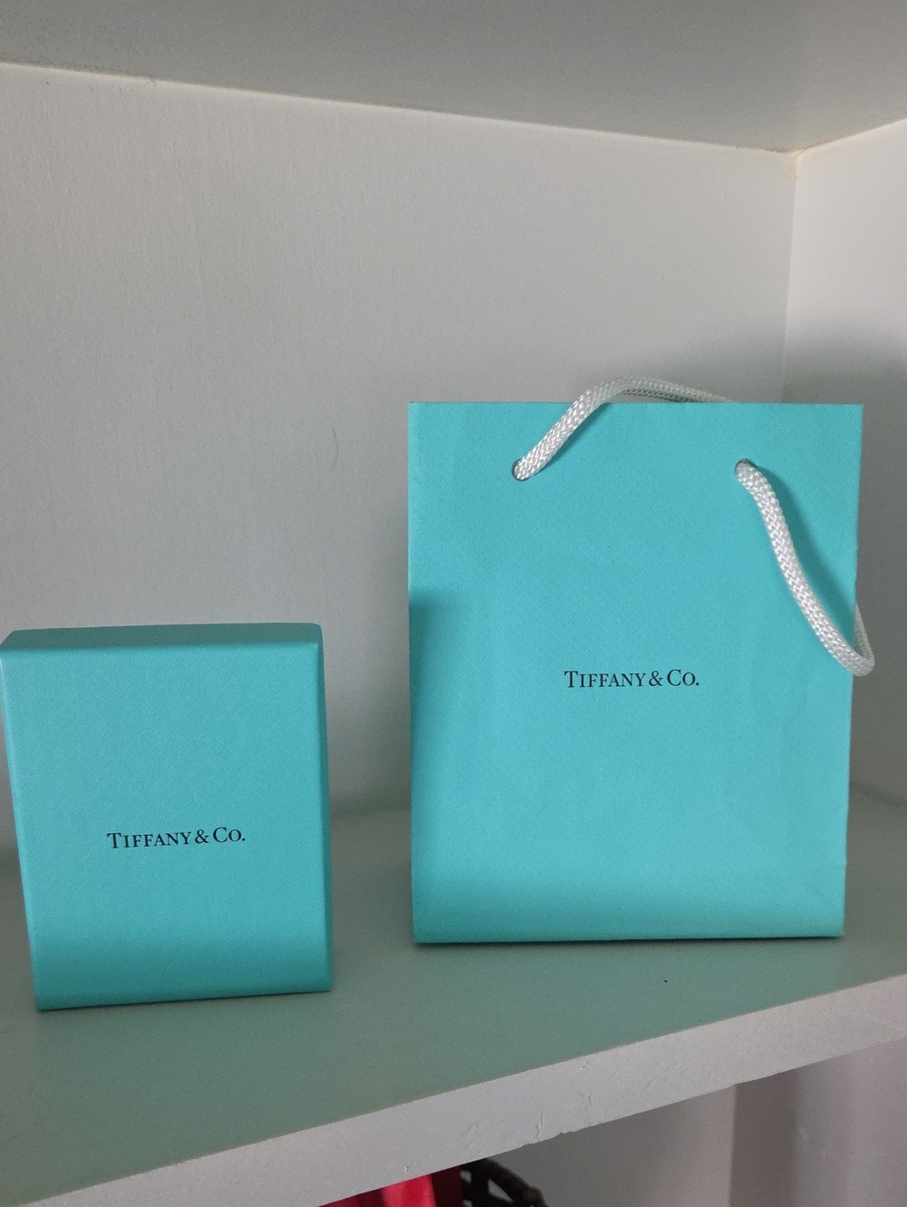Tiffany & Co. small shopping bag and box